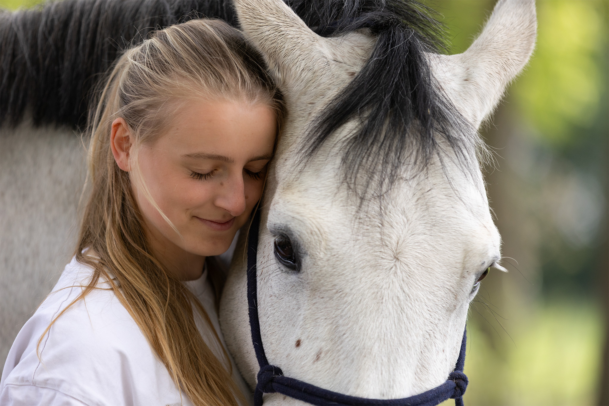 Mens en paard in verbinding